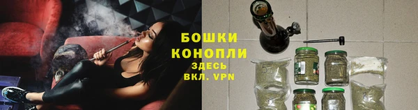 прущая мука Инта