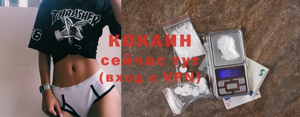 прущая мука Инта