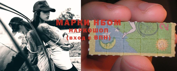 PSILOCYBIN Инсар