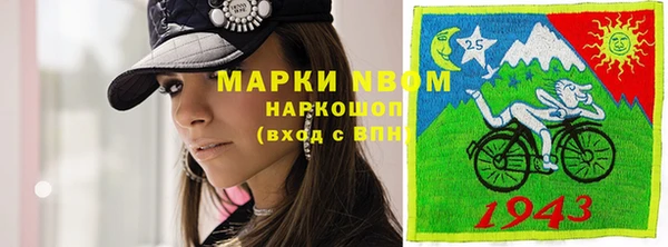 PSILOCYBIN Инсар